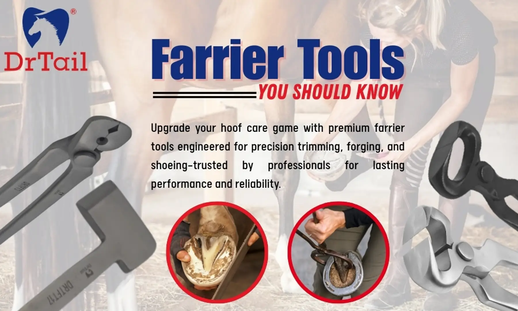 68b6e0a14a861e1d8bc026a7